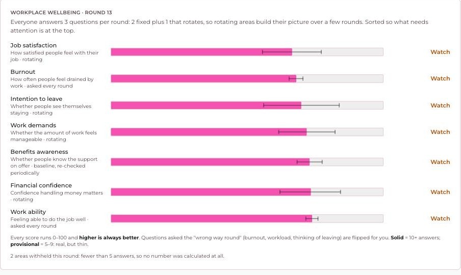 Seven measures, each named in plain English - job satisfaction, burnout, intention to leave, work demands, benefits awareness, financial confidence, work ability - with a score bar, a whisker marking the range the true figure could sit in, and a Watch flag on the areas needing attention. A footnote records two further areas withheld this round to protect anonymity.